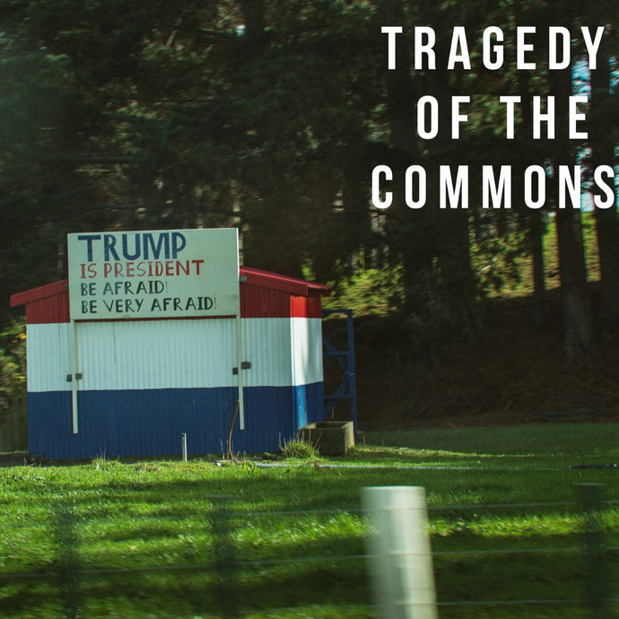 Framingham Underground #4 – The Tragedy of the Commons!