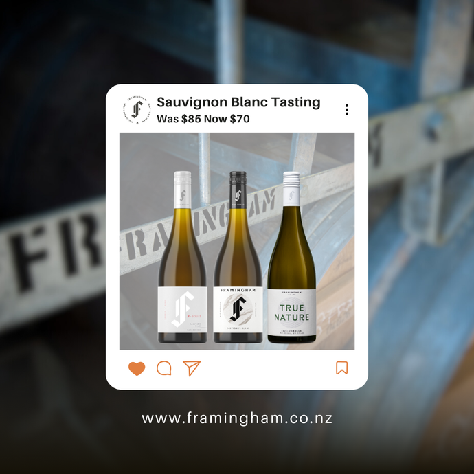 Sauvignon Blanc Tasting